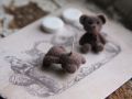 Teddy Bear Earrings