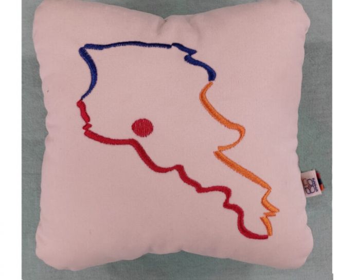 An Embroidered Souvenir Pillow (Quadrate)