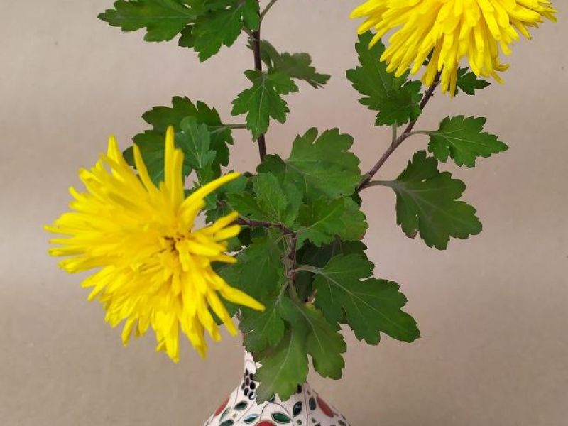 Cute Handmade Ornamental Pomegranate And Grape Patterned Armenian Ceramic Vase