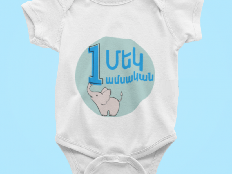 Baby Monthly Milestone Onesies