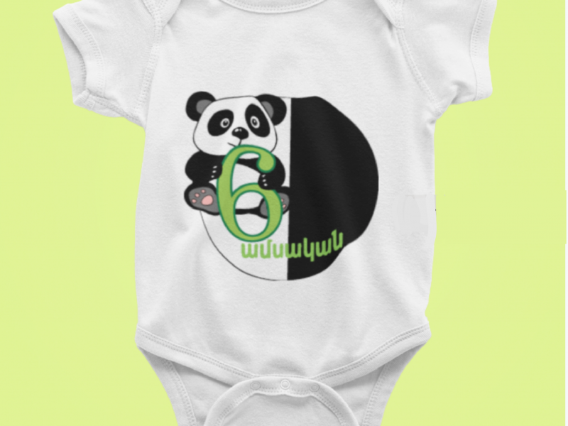 Baby Monthly Milestone Onesies