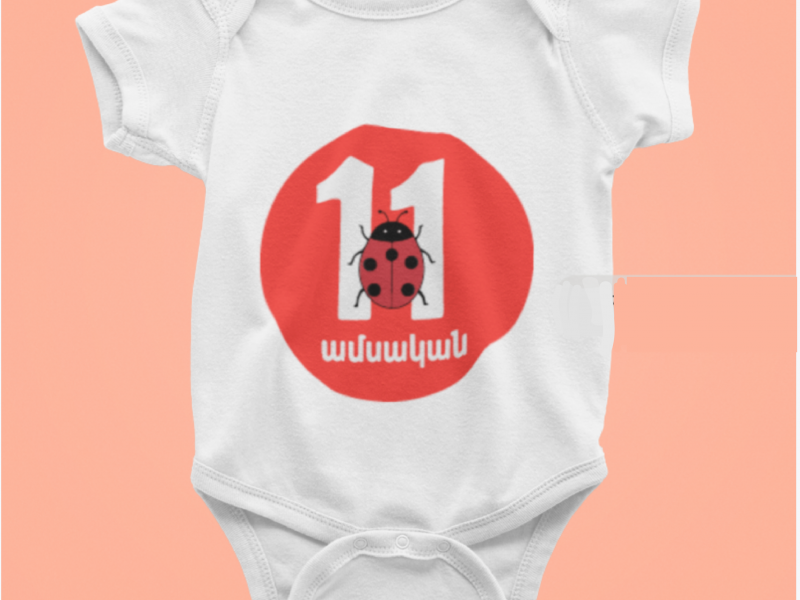 Baby Monthly Milestone Onesies