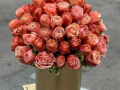 Coral Garden Roses