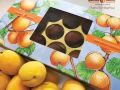 Box Dried apricot / Dark chocolates