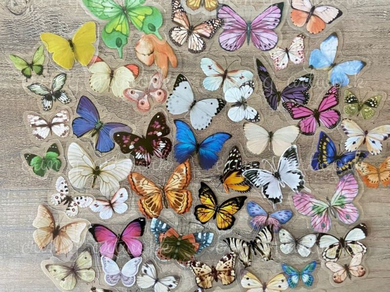 Butterfly Sticker Pack