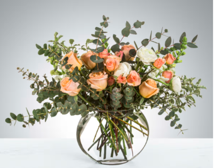 Sugar by BloomNation