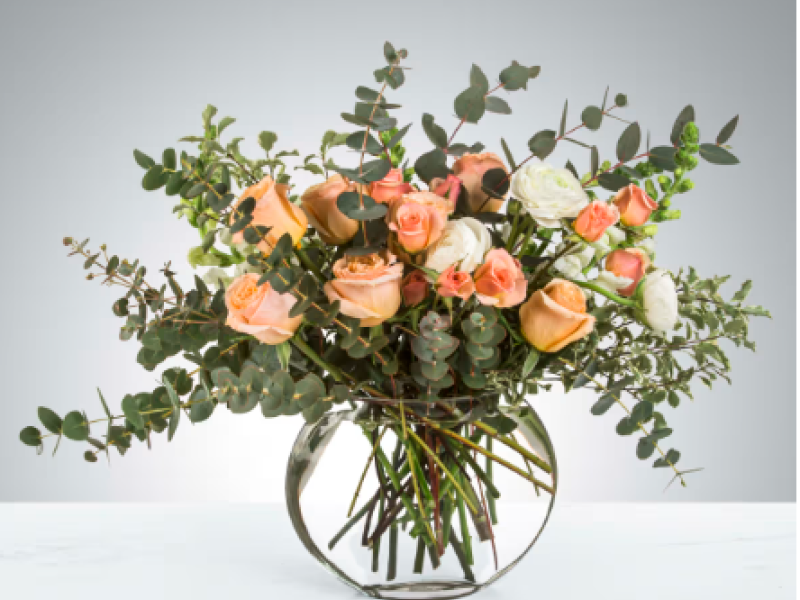 Sugar by BloomNation