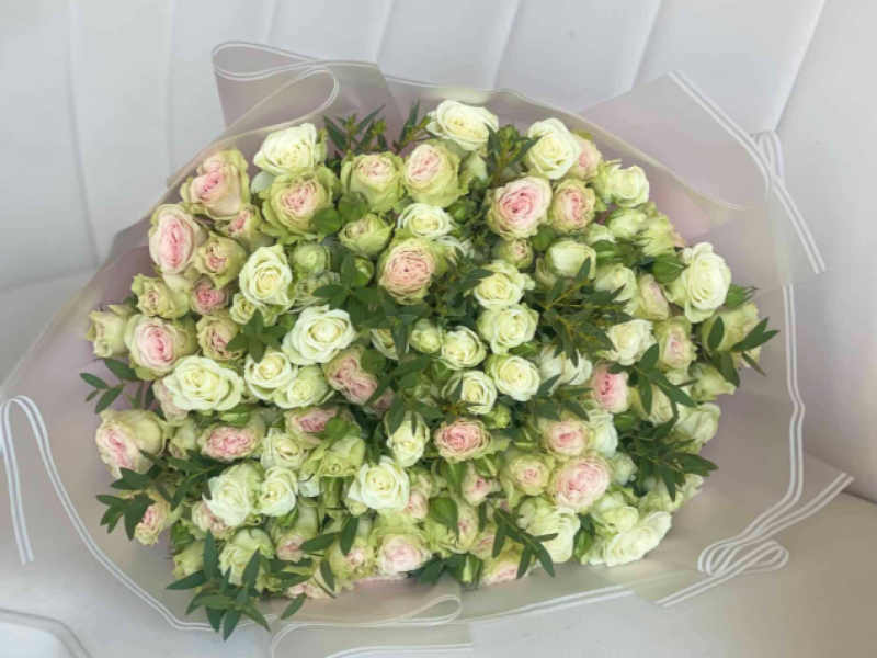 Whispering Meadow Roses