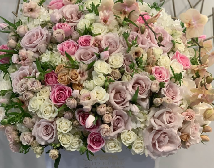 Capturing the warmth of April 