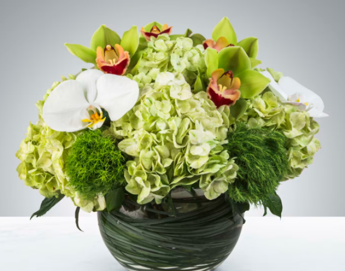 Smiles all Around by BloomNation