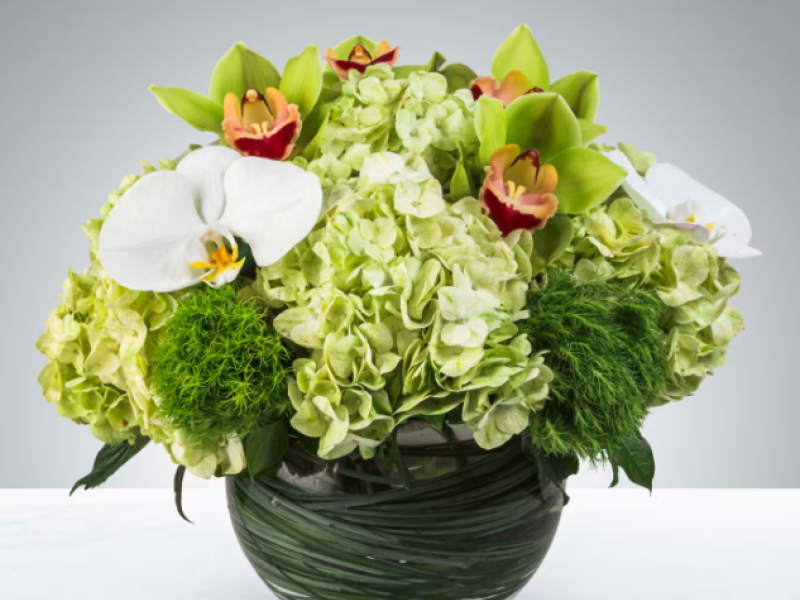 Smiles all Around by BloomNation