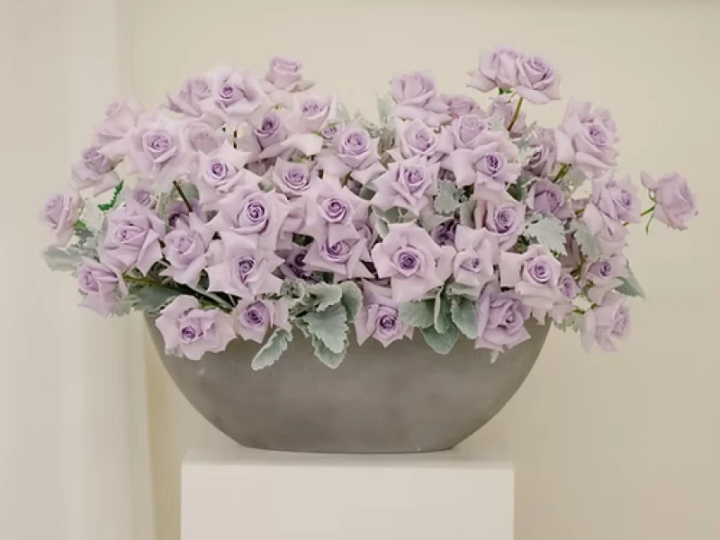 Lavender Harmony