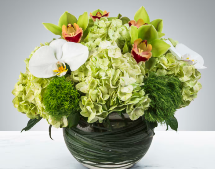  Smiles all Around by BloomNation