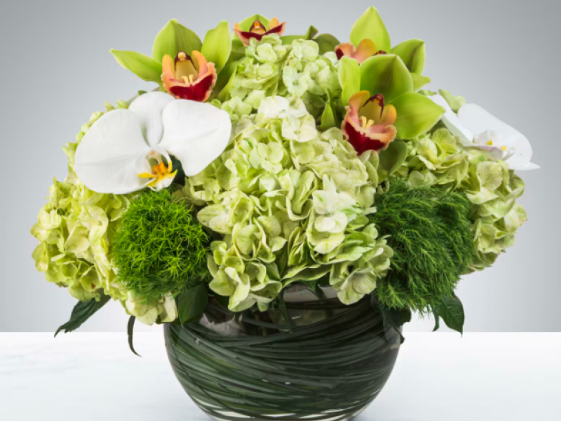  Smiles all Around by BloomNation