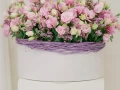 Pink Symphony