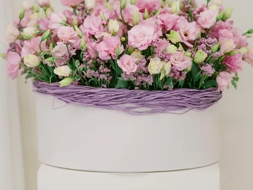 Pink Symphony
