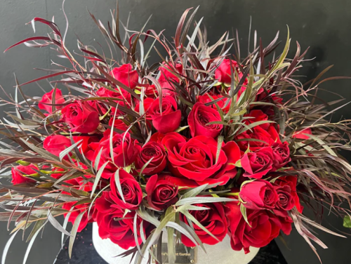 Red round roses with Agonis