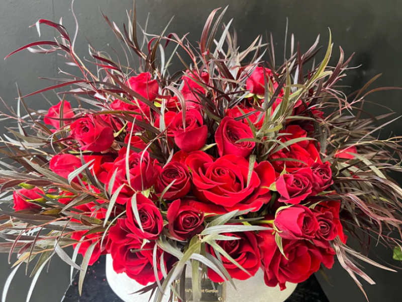 Red round roses with Agonis
