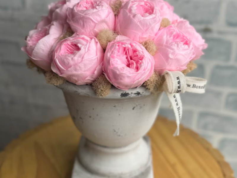 Preserved Peonie vase