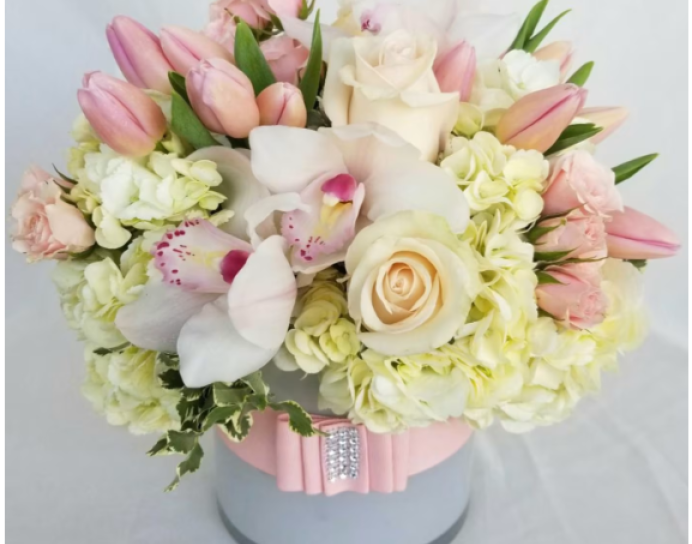 Baby girl Pink Dream Palette