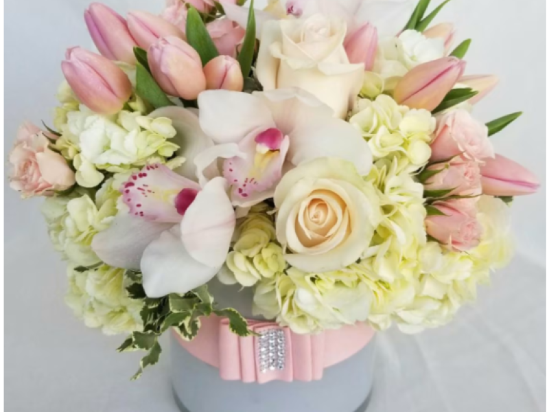 Baby girl Pink Dream Palette