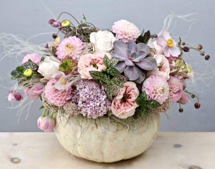 Sugarplum Pumpkin - My Glendale Florist