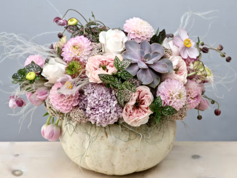 Sugarplum Pumpkin - My Glendale Florist