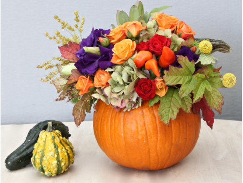 Pumpkin Harvest - Glendale Florist