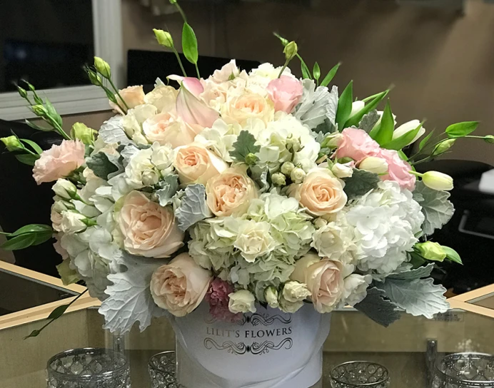 Delicate Beauty and Exquisite Grace