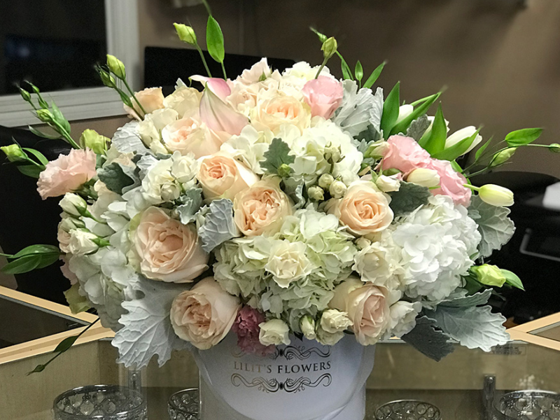 Delicate Beauty and Exquisite Grace