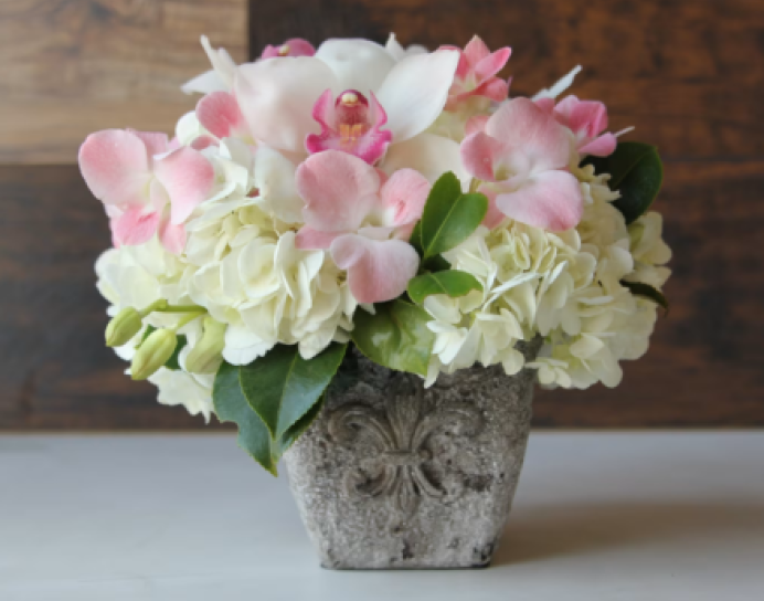 Orchids & Hydrangeas