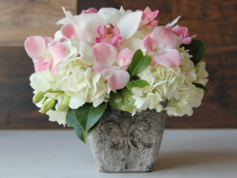 Orchids & Hydrangeas