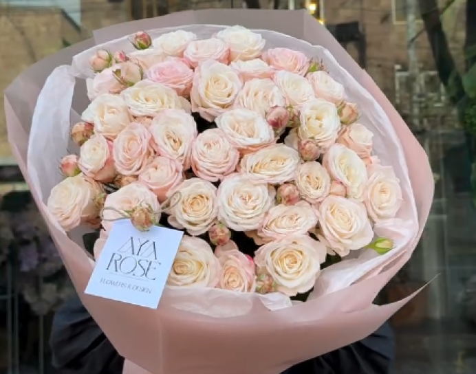 Beautiful Roses
