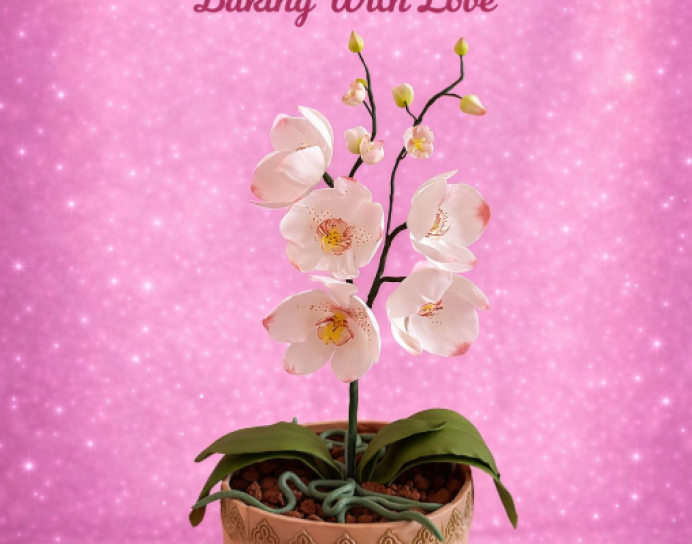 Մայրիկների և կանաց համար տորթեր