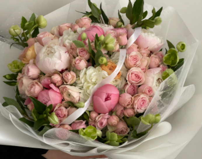 Beauty Bloom