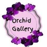 Orchid Gallery