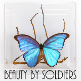 Beauty By Soldiers
