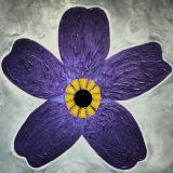 Nazelie Art