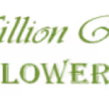 Million Roses Flowers 